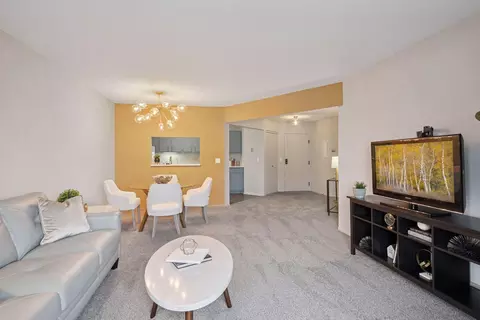 2425 E Franklin Ave #309, Minneapolis, MN 55406 photo 2