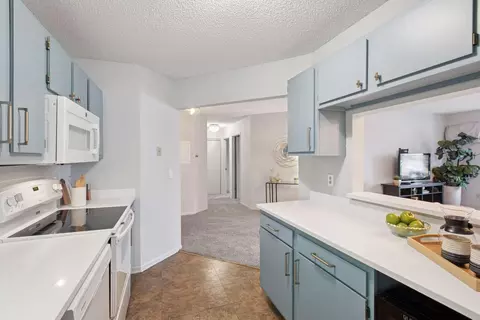 2425 E Franklin Ave #309, Minneapolis, MN 55406 photo 16