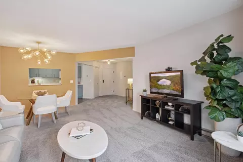 2425 E Franklin Ave #309, Minneapolis, MN 55406 photo 9
