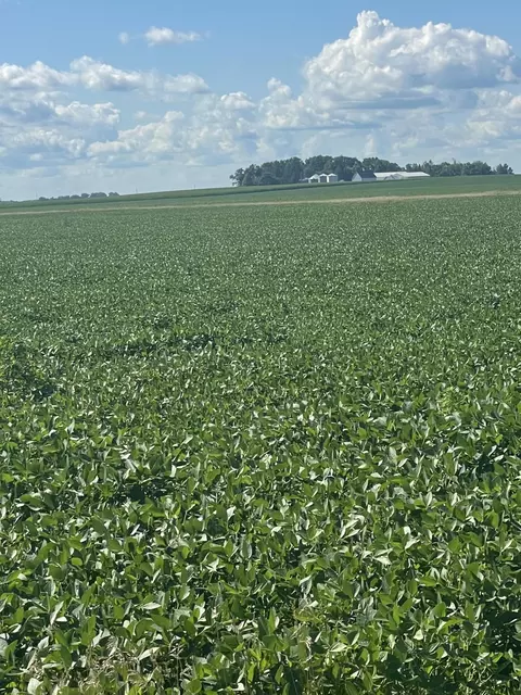 Nnn 437th Avenue, Delavan, MN 56023