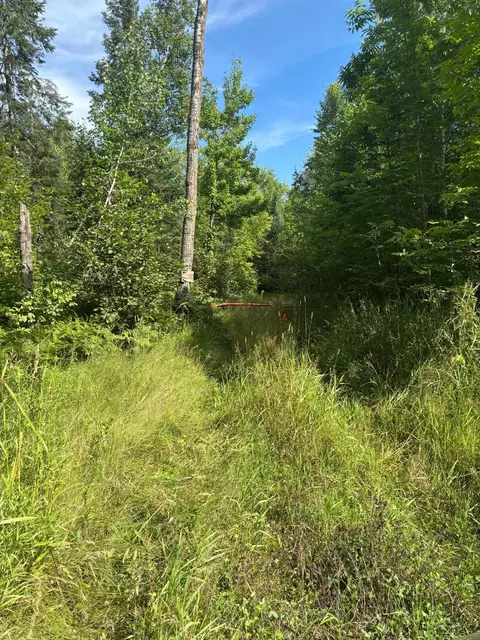 tbd Mushgee Rd, Deer River, MN 56636 photo 6