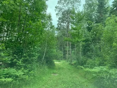 tbd Mushgee Rd, Deer River, MN 56636