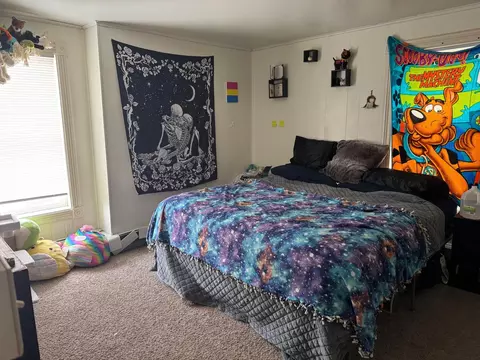 Bedroom - 306 9th Ave S, Saint Cloud, MN 56301 photo 4 of 4