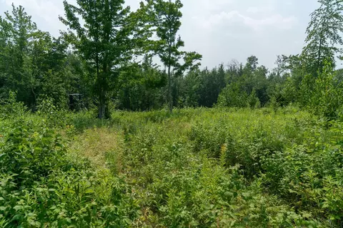 16564 Dullum Rd, Brainerd, MN 56401 photo 37