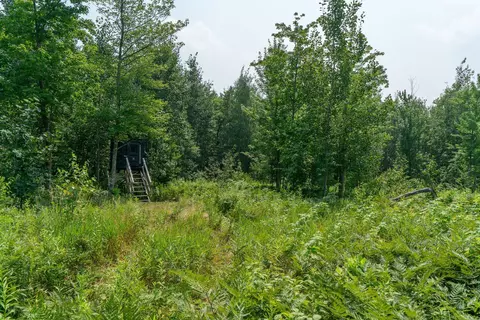 16564 Dullum Rd, Brainerd, MN 56401 photo 40