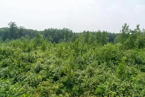 16564 Dullum Rd, Brainerd, MN 56401 photo 31