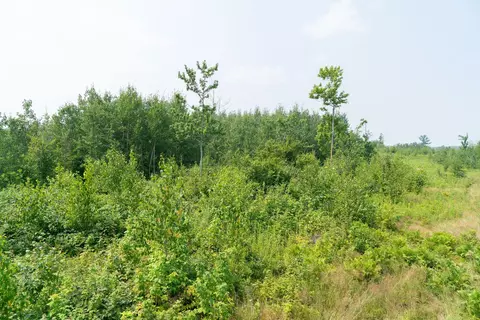 16564 Dullum Rd, Brainerd, MN 56401 photo 33