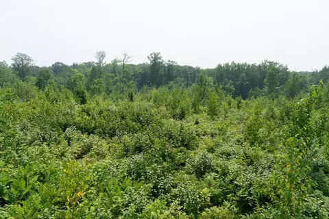 16564 Dullum Rd, Brainerd, MN 56401 photo 34
