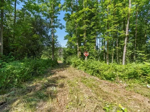 4233 56th Ave SW, Bungo Twp, MN 56474 photo 37
