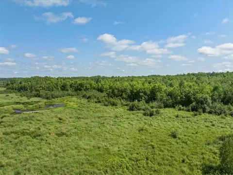 4233 56th Ave SW, Bungo Twp, MN 56474 photo 13