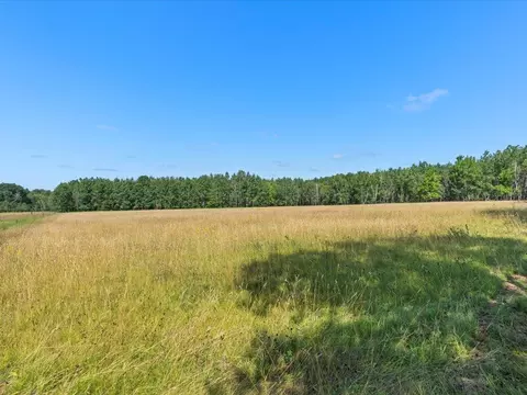 4233 56th Ave SW, Bungo Twp, MN 56474 photo 33