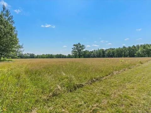 4233 56th Ave SW, Bungo Twp, MN 56474 photo 31