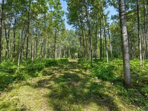 4233 56th Ave SW, Bungo Twp, MN 56474 photo 38