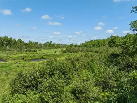 4233 56th Ave SW, Bungo Twp, MN 56474 photo 12