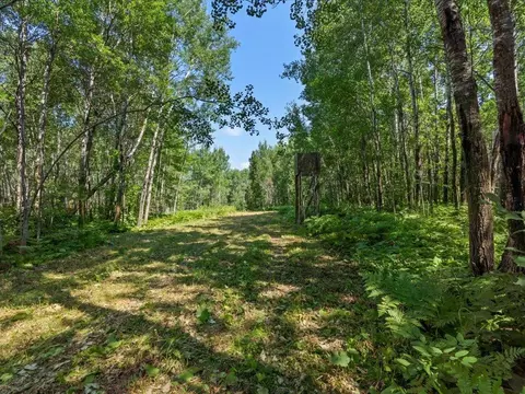 4233 56th Ave SW, Bungo Twp, MN 56474 photo 34