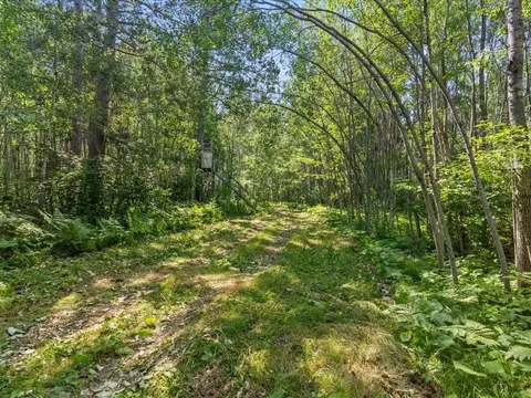 4233 56th Ave SW, Bungo Twp, MN 56474 photo 35