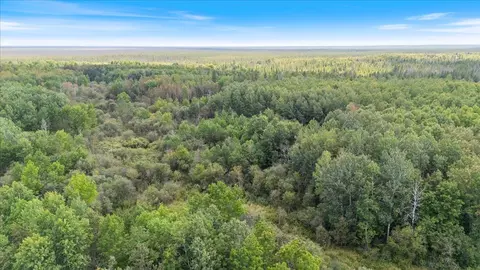 Nnn 1262ac Pine Island State Forest, Big Falls, MN 56627