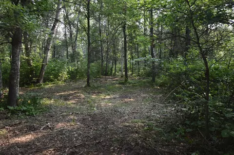 tbd 30th, Pine River Twp, MN 56474 photo 13