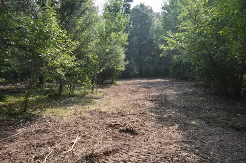 tbd 30th, Pine River Twp, MN 56474