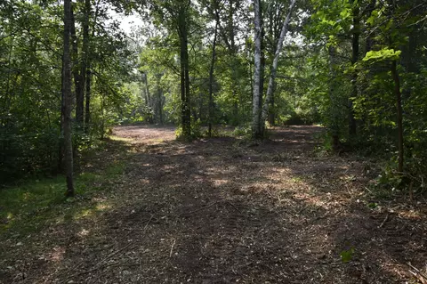 tbd 30th, Pine River Twp, MN 56474 photo 8