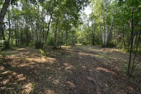 tbd 30th, Pine River Twp, MN 56474 photo 7