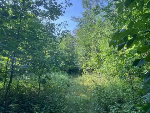 1295 E Superior St, Isle, MN 56342 photo 12