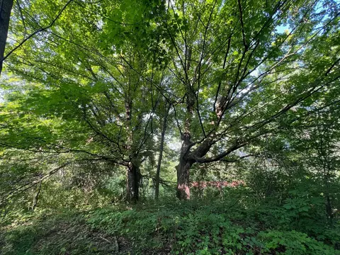 1295 E Superior St, Isle, MN 56342 photo 16