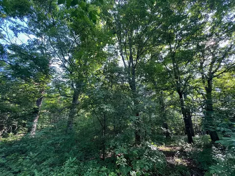 1295 E Superior St, Isle, MN 56342 photo 13