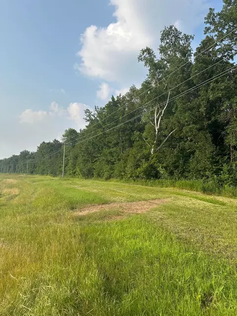 tbd Hwy 29, Miltona Twp, MN 56361