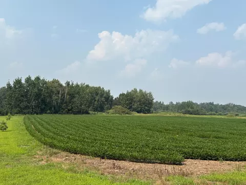 304 Nn Jodrell St NE, Cambridge, MN 55008