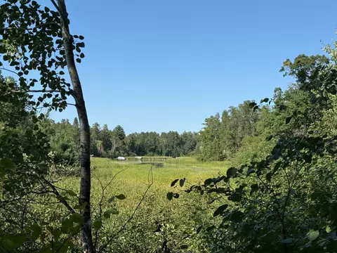 tbd Azalea Rd, Pillager, MN 56473