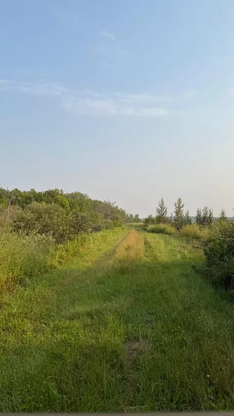 tbd 160 Sunflower Rd, Kelliher, MN 56650
