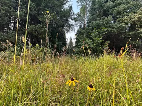 tbd Bodas Rd, Eveleth, MN 55734 photo 3
