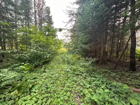 tbd Bodas Rd, Eveleth, MN 55734 photo 7
