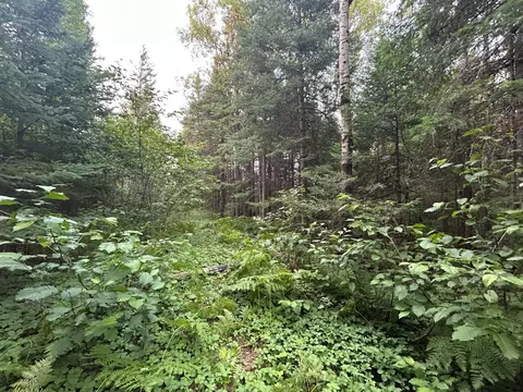 tbd Bodas Rd, Eveleth, MN 55734 photo 5