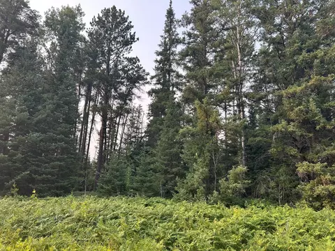 tbd Bodas Rd, Eveleth, MN 55734 photo 8