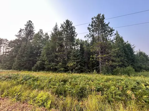 tbd Bodas Rd, Eveleth, MN 55734 photo 2