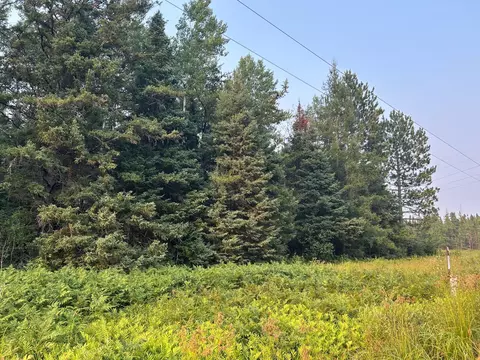 tbd Bodas Rd, Eveleth, MN 55734 photo 9