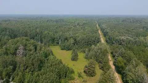 tbd 12 Acres Ponderosa Rd NE, Woodrow Twp, MN 56650