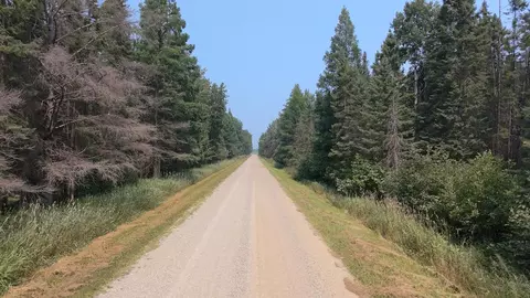 tbd 80 Acres Sunflower Rd NE, Kelliher, MN 56650
