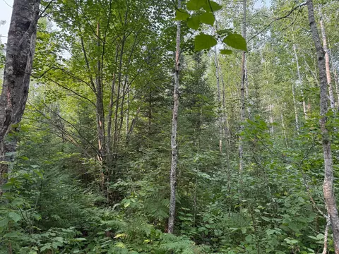 tbd Virginia Ely Rd, Babbitt, MN 55706 photo 16