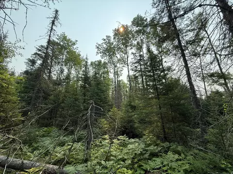 tbd Virginia Ely Rd, Babbitt, MN 55706 photo 14
