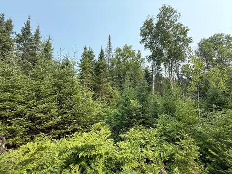tbd Virginia Ely Rd, Babbitt, MN 55706 photo 24