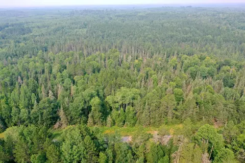 tbd Virginia Ely Rd, Babbitt, MN 55706
