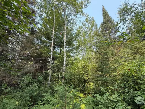 tbd Virginia Ely Rd, Babbitt, MN 55706 photo 11