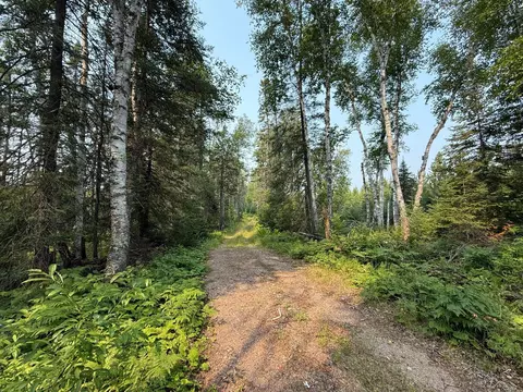 tbd Virginia Ely Rd, Babbitt, MN 55706 photo 9