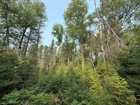 tbd Virginia Ely Rd, Babbitt, MN 55706 photo 27