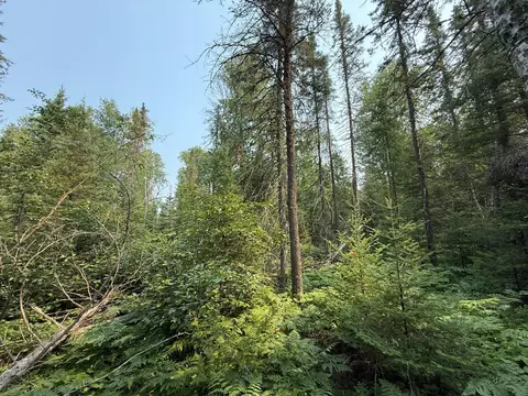 tbd Virginia Ely Rd, Babbitt, MN 55706 photo 25