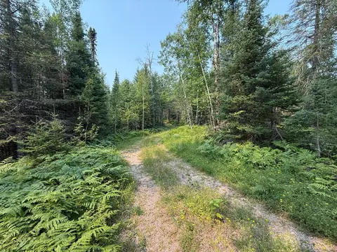 tbd Virginia Ely Rd, Babbitt, MN 55706 photo 10
