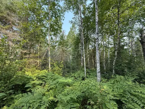 tbd Virginia Ely Rd, Babbitt, MN 55706 photo 21